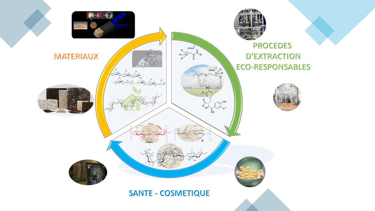 Thématique de recherche de l'équipe EMCA
